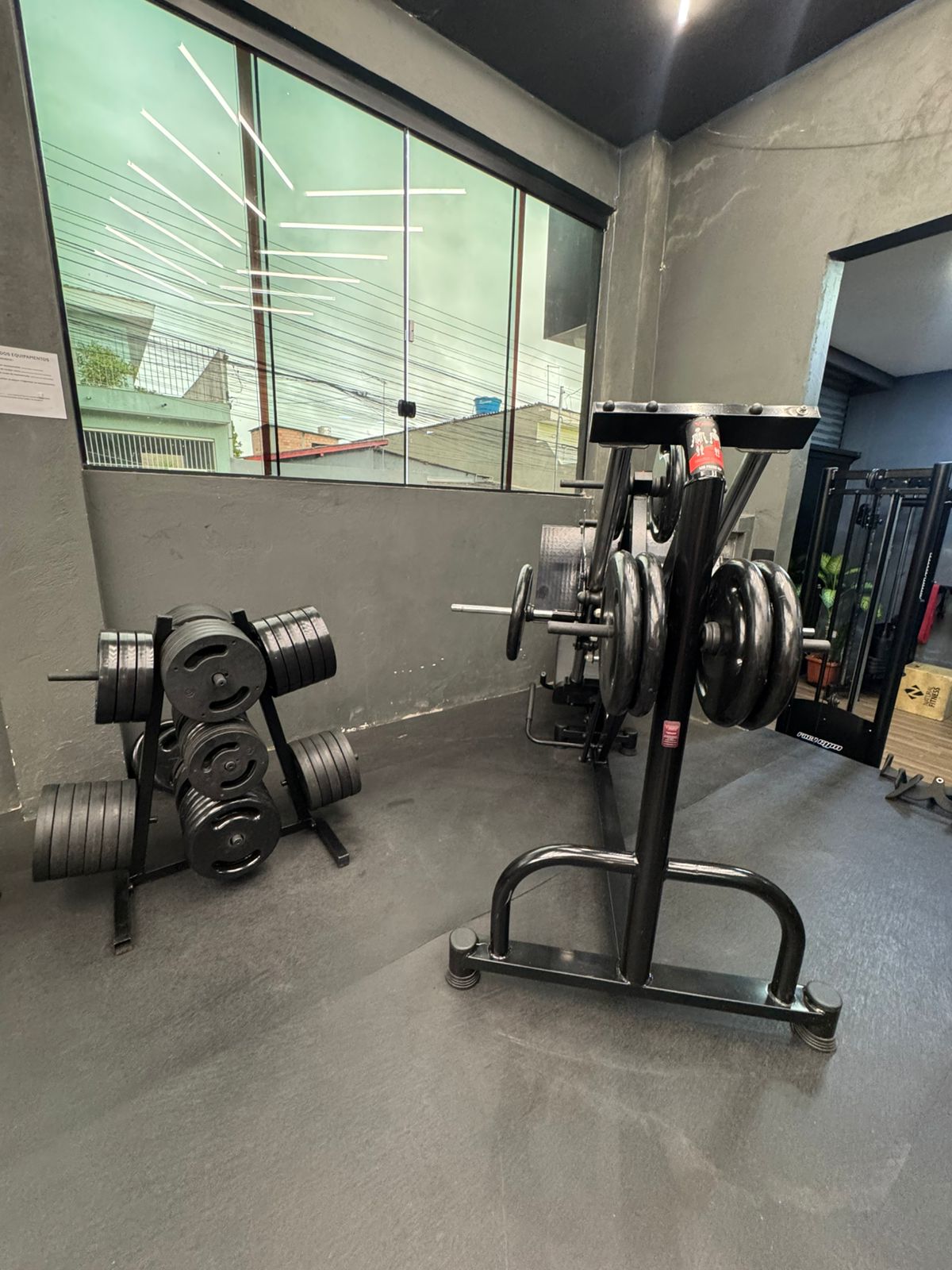 Ambiente acolhedor do estúdio